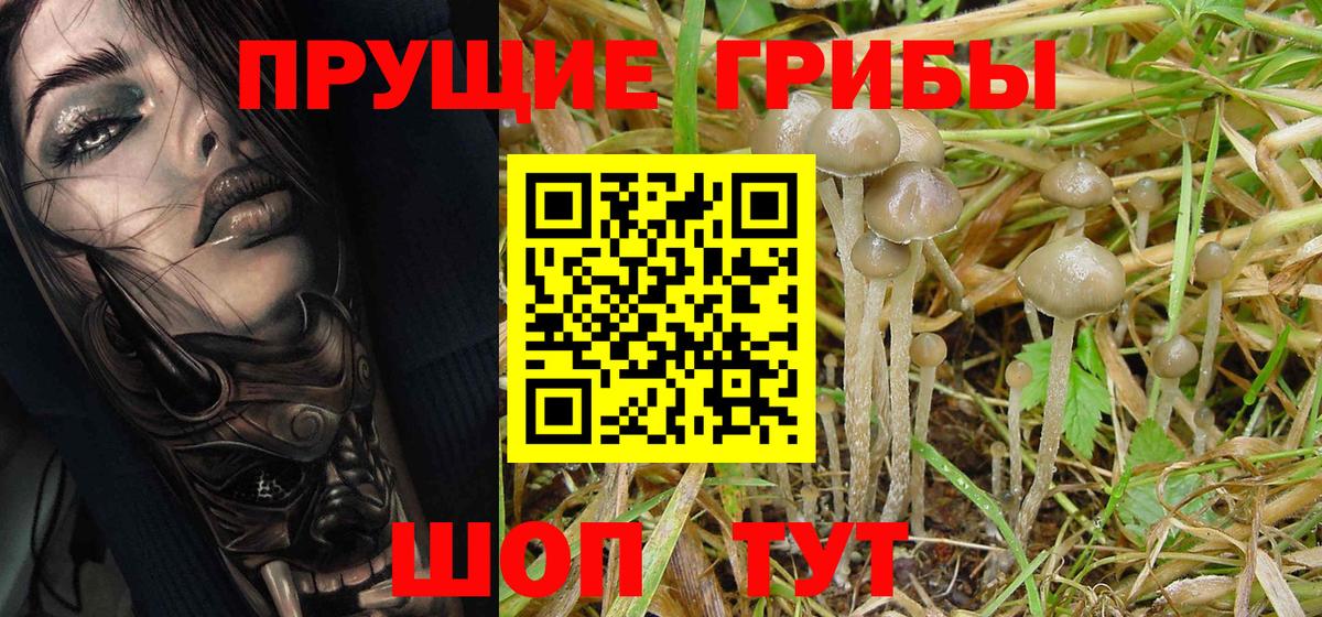 Галлюциногенные грибы ЛСД Феодосия