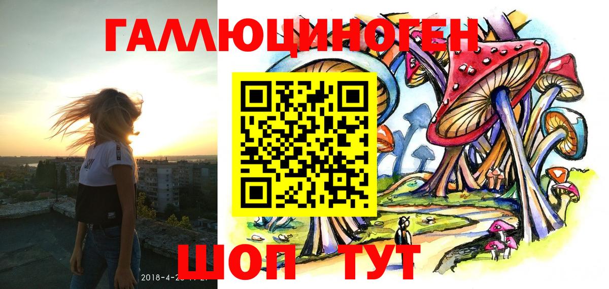 Галлюциногенные грибы Psilocybine cubensis  Вход с VPN  что такое   Феодосия 